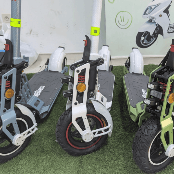 Bison GT Bisone 1000W Trottinette électrique