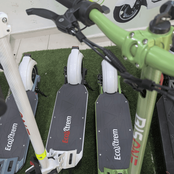 Bison GT Bisone 1000W Trottinette électrique