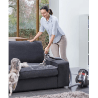 Aspirateur traîneau Dyson Big Ball Parquet