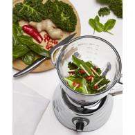Blender Oster Classic 600W