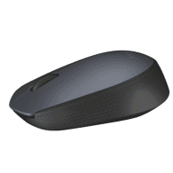 Souris sans fil Logitech M170