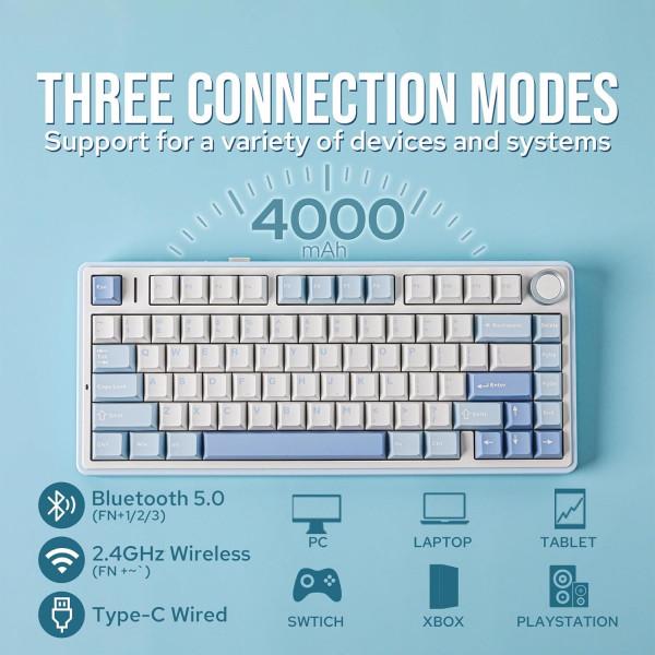 AULA F75 Sea Salt Blue (Graywood V3 Switch)
