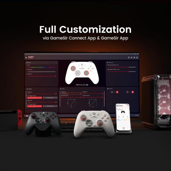 GameSir Nova 2 Lite 2.4G Wireless Controller (Gray)