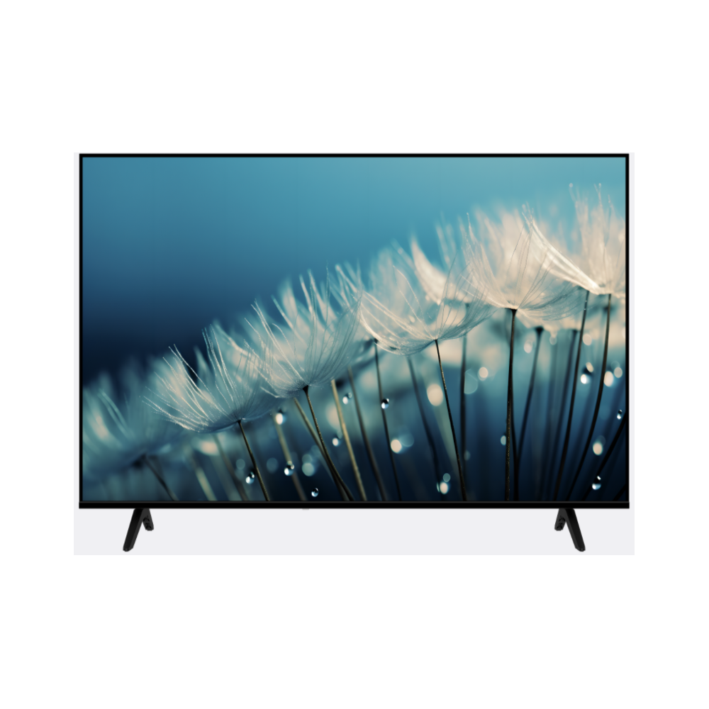 TV Schneider Smart QLED UHD 55 pouces