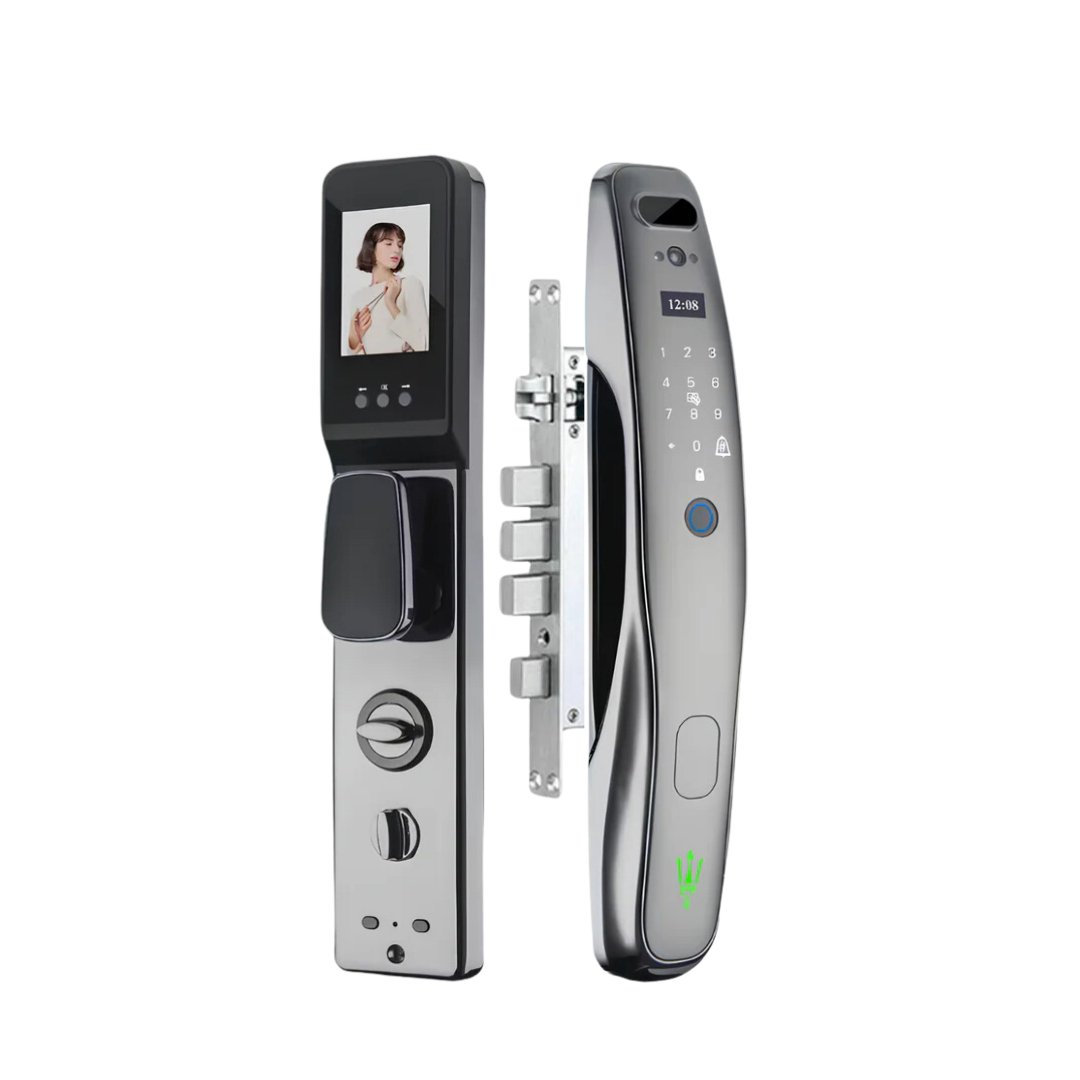 Serrure intelligente EF25 Face ID Wi-Fi/Bluetooth