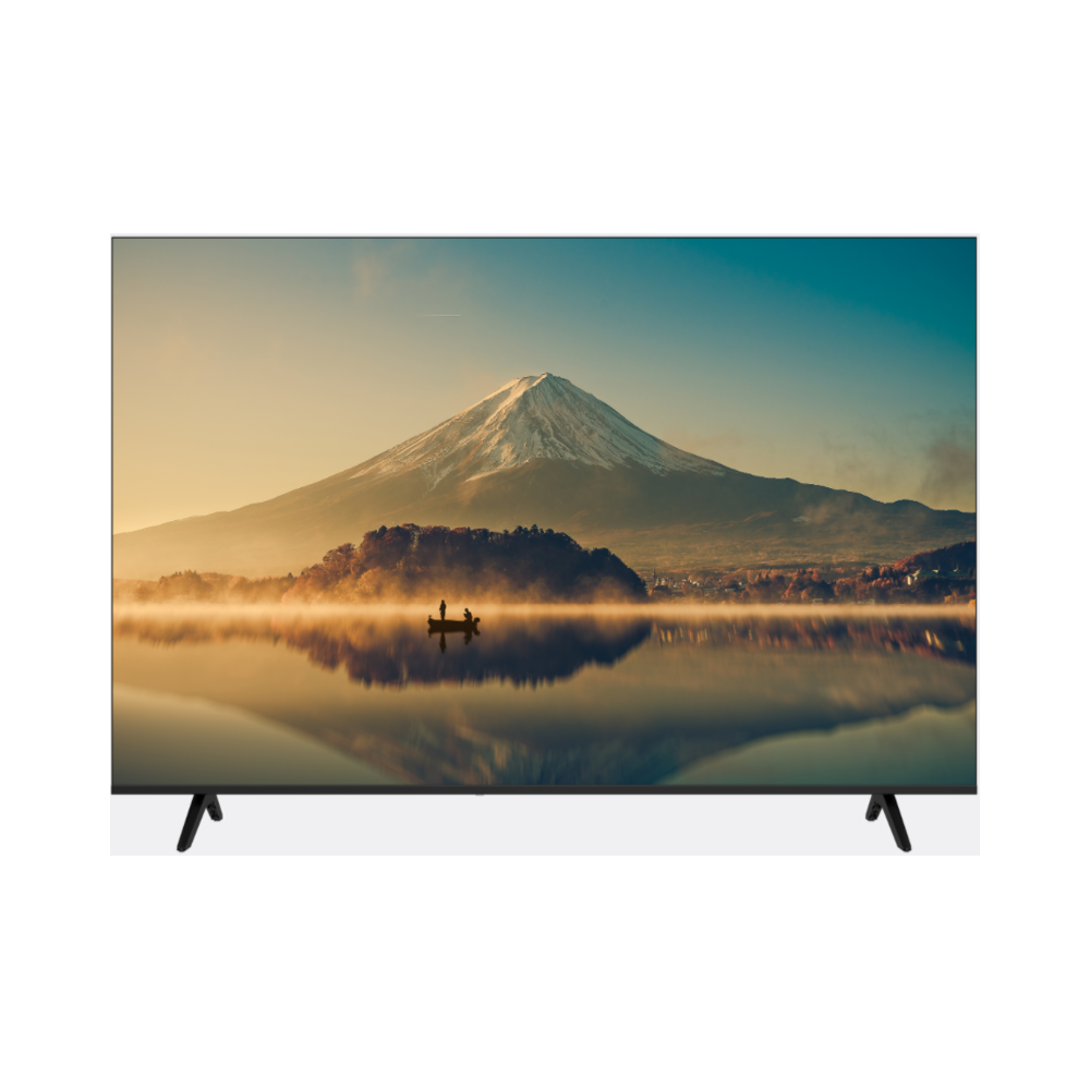 TV Schneider Smart QLED UHD 65 pouces
